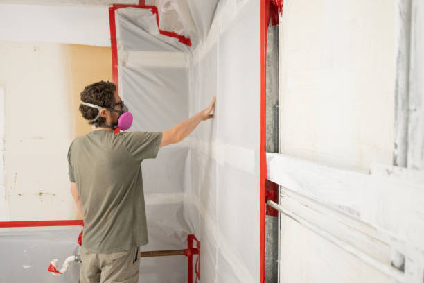 Burlington, VT Mold Inspection, Removal & Remediation Company