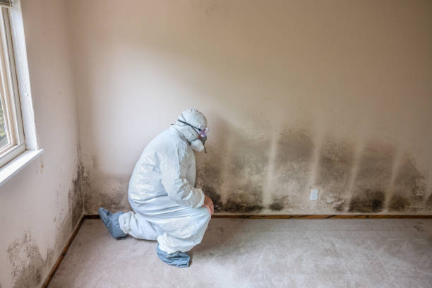 Best Crawl Space Mold Remediation  in Burlington, VT